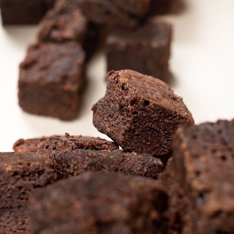 Illustrative fudgy chocolate brownies