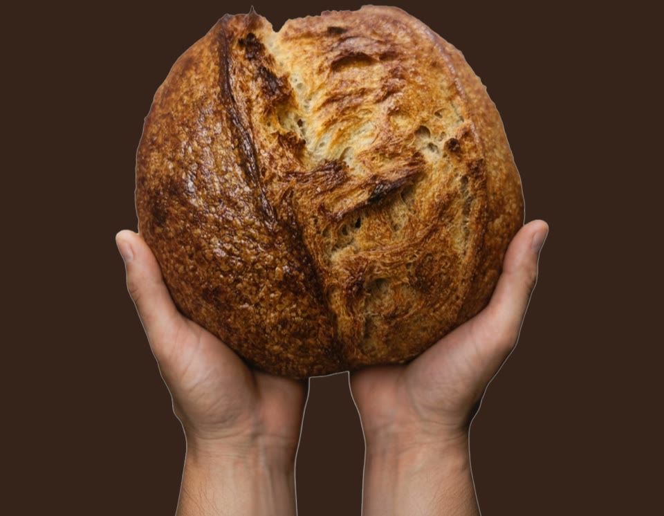 Freshly baked artisan sourdough bread from LEVN Studio